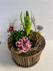 Körbli bunt