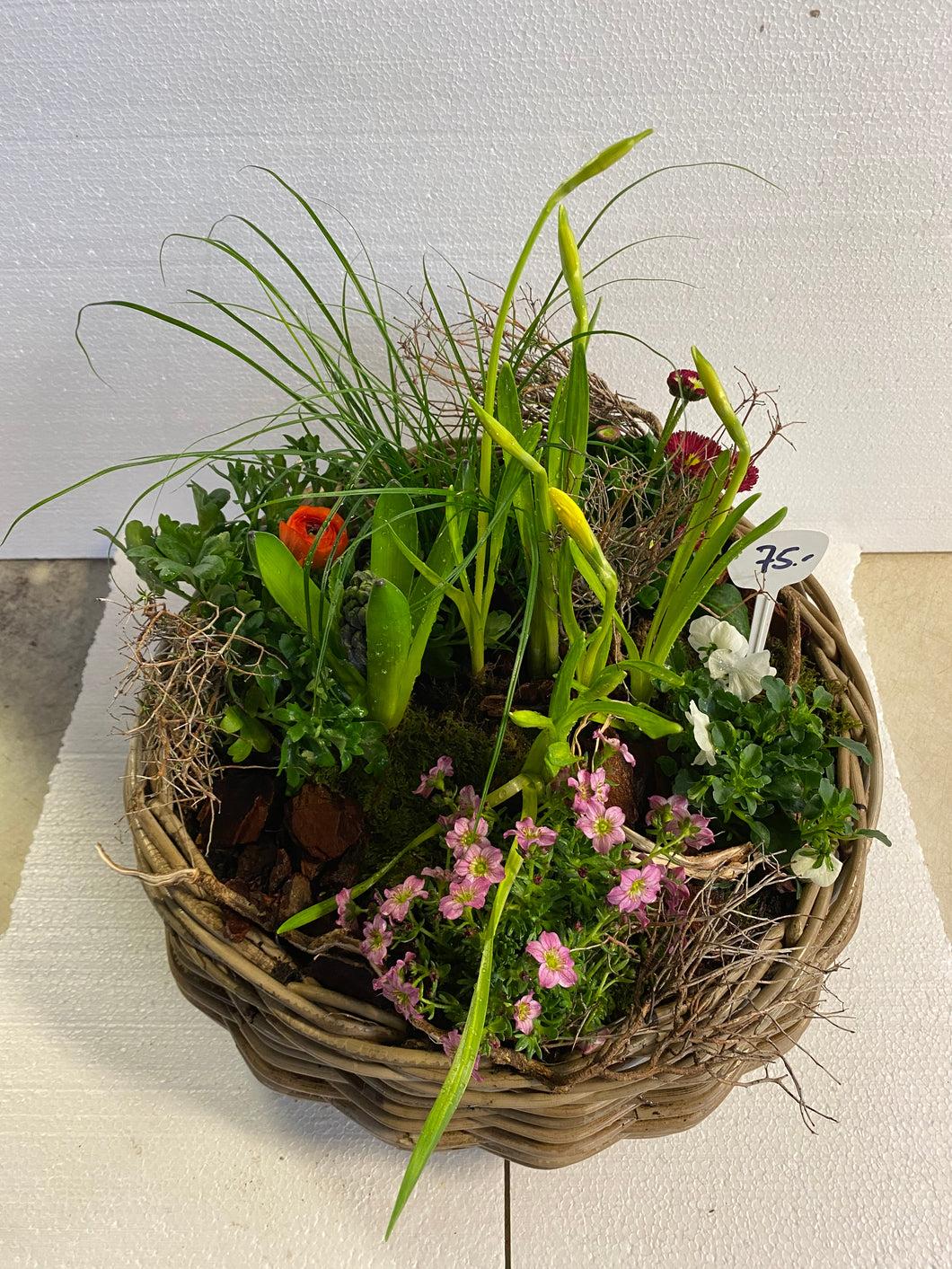 Körbli bunt