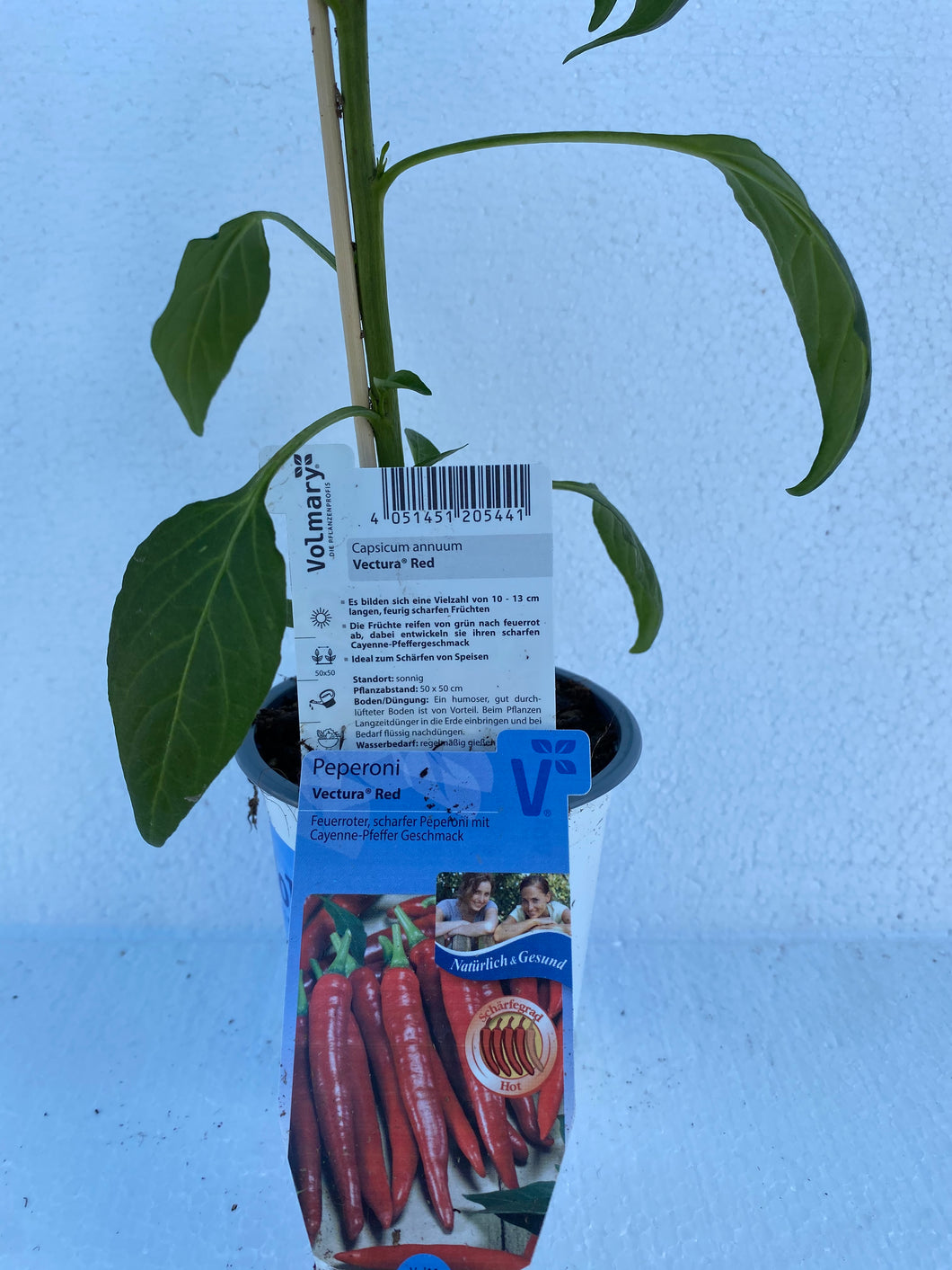 Peperoncini