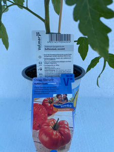 Veredelte Tomate Buffalosteack