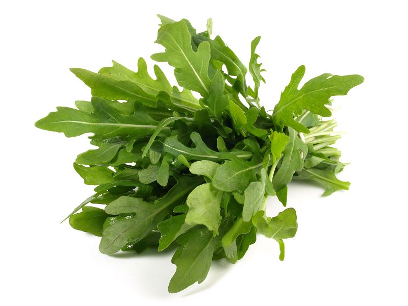 Ruccola